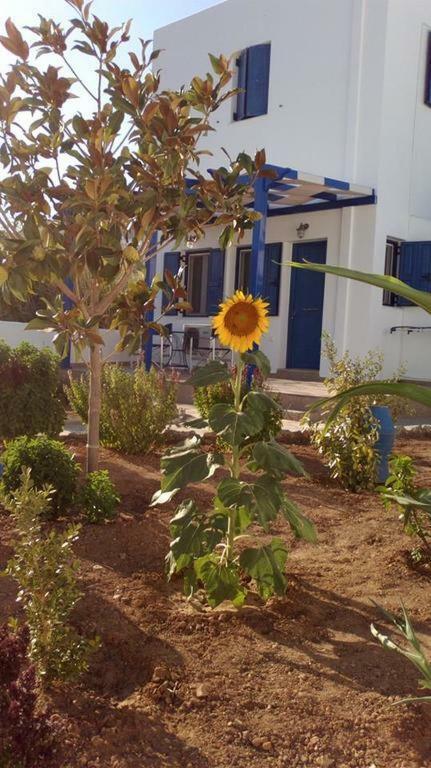 Ninemia Studios Serifos Island 外观 照片
